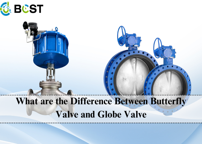 What are the Difference Between Butterfly Valve and Globe Valve