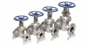 A cast steel gate valve from BCST Group
