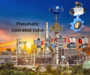 Pneumatic operated valve