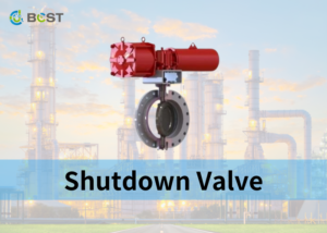 Shutdown Valve
