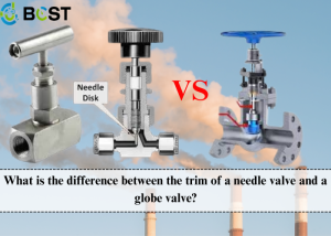 What is the difference between the trim of a needle valve and a globe valve