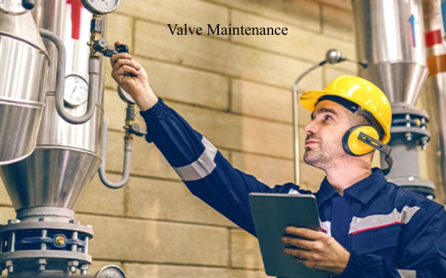 water shut-off ball valves Maintenance