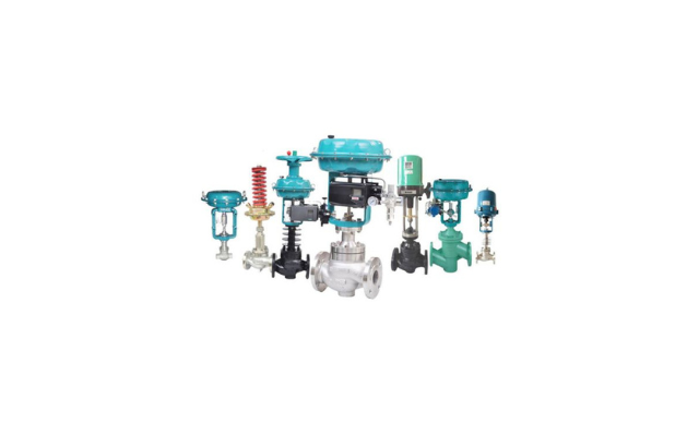 BCST Globe Valves showing internal construction