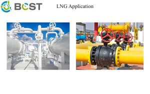 Cryogenic Ball Valves LNG Application