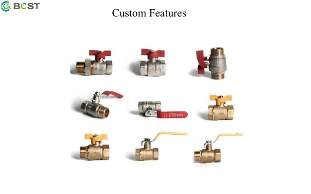 Custom Features of BCST Valves