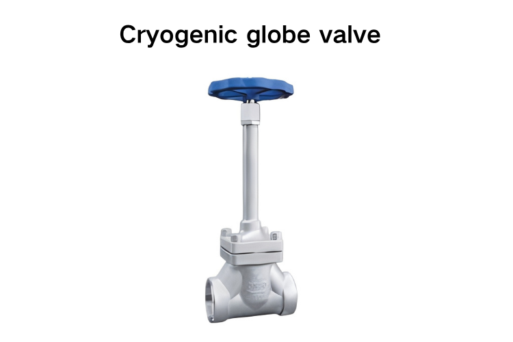 Cryogenic globe valve
