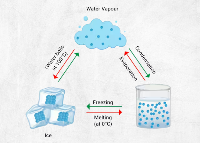 Liquid vs Vapor vs Gas