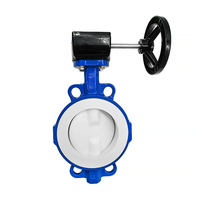 bcst concentric butterfly valve