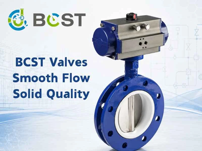 BCST Pneumatic Butterfly Valve with Technical Engineering Background