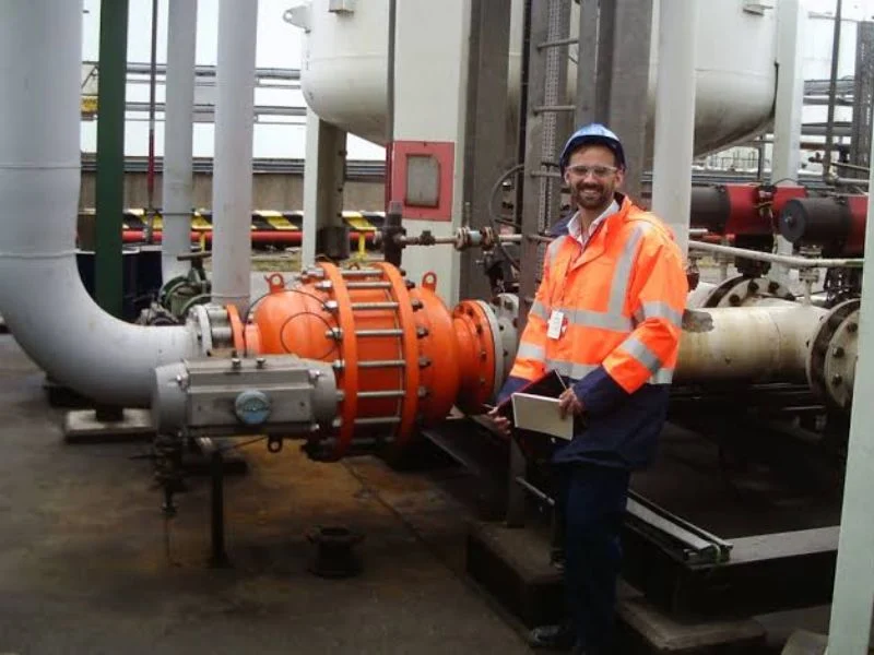 Flame arrestor element inspection