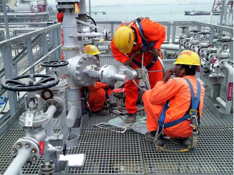 Flame arrestor factory inspection