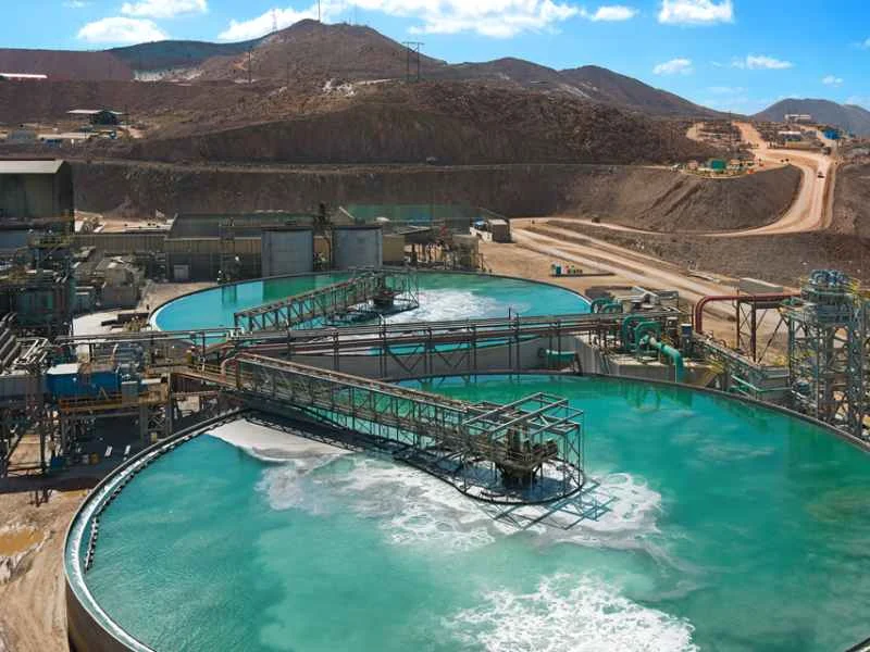 Abrasion resistant valve in wastewater service