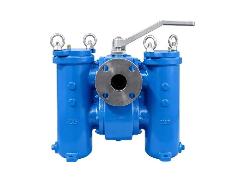 Cast duplex basket strainer
