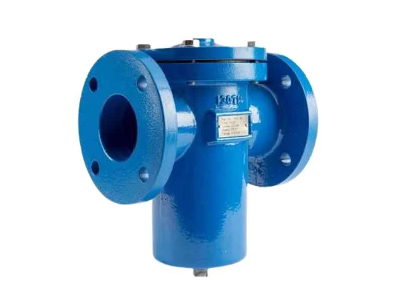 Cast tee strainer