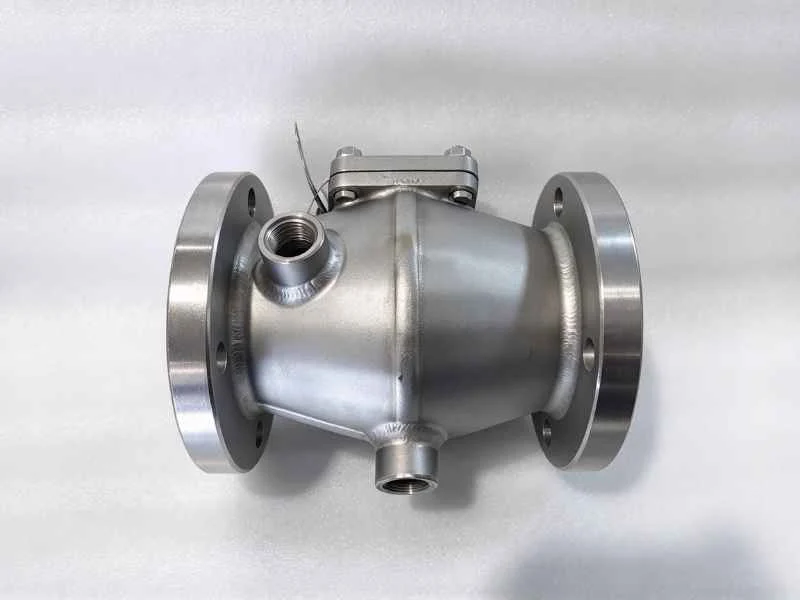 Jacketed check valve