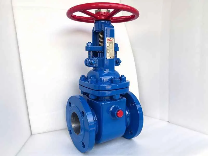 Jacketed gate valve