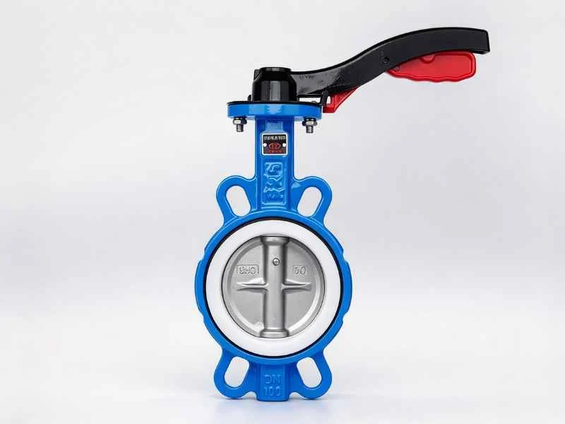Lined butterfly valve